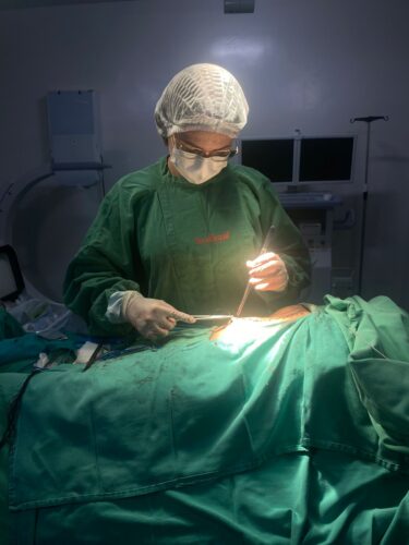 Umas das 41 cirurgias realizadas no plantao deste final de semana em Patos