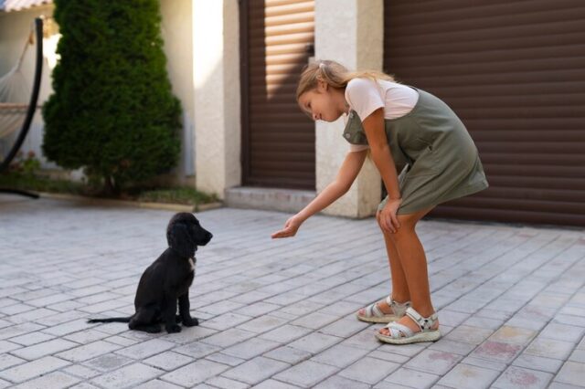 pet