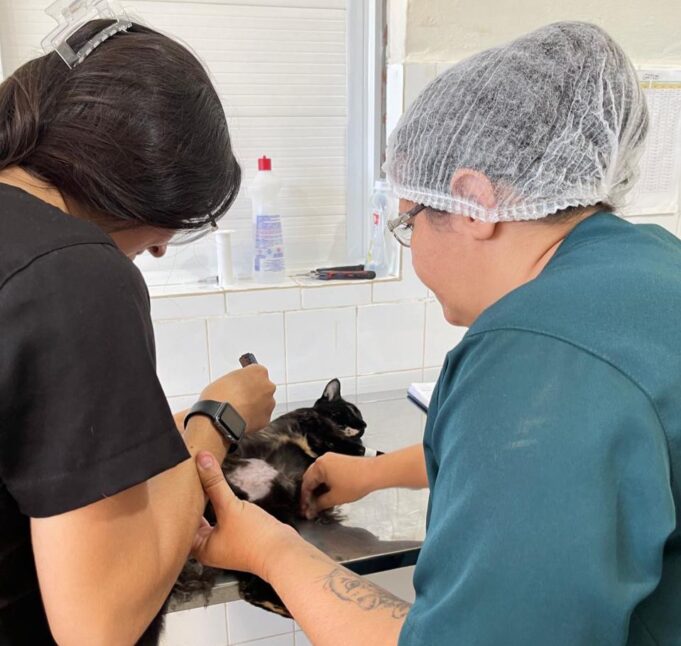 Imagem do WhatsApp de 2024-05-19 à(s) 18.51.12_f056d4dc