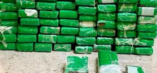 imagens_maconha-apreendida-prf-pb-vitoria-da-caonquista-joao-pessoa