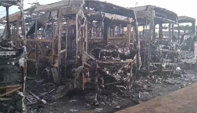 onibus
