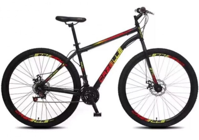 bicicleta