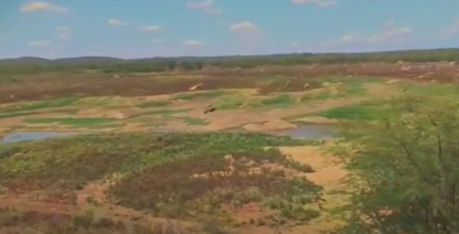 fotoreproducaoyoutubepr