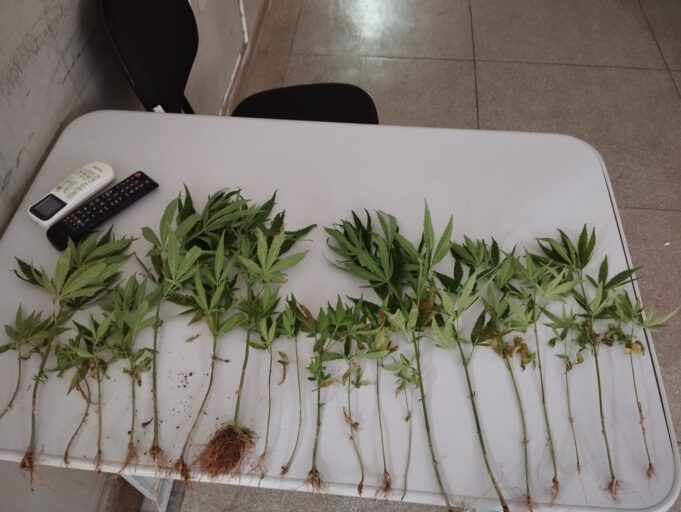 Imagem do WhatsApp de 2024-09-08 à(s) 11.59.04_a2a599f2