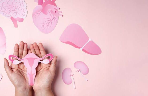 Imagem do WhatsApp de 2024-10-28 à(s) 15.44.52_523f8a91