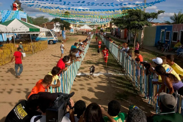 Festa-do-Bode-Rei