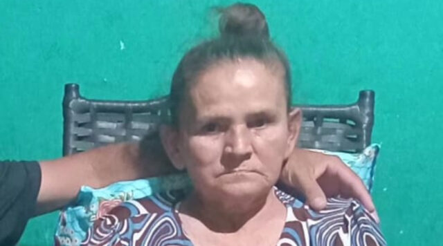 Helena Vicente Menino