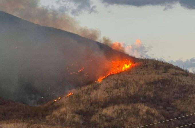 WhatsApp-Image-2024-12-25-at-18.09.19