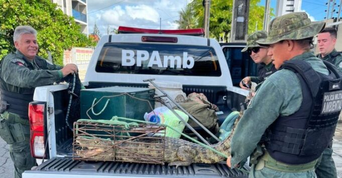 WhatsApp-Image-2025-01-26-at-10.40.45-750x390