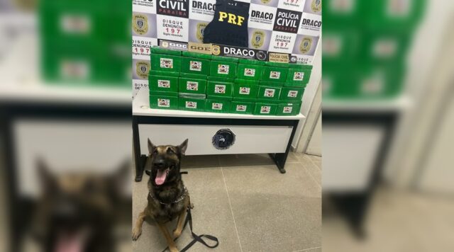 droga-apreendida-prf-sao-jose-de-piranhas