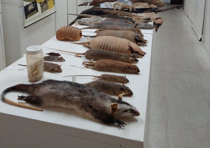 b7dbe6e8-b4df-4531-94fa-e07893806497