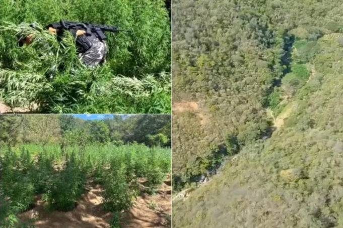 d9e617368229f55cf96892618e219e50