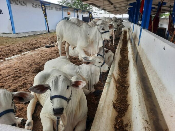 f36eb297-5595-47f5-81d9-9f43ccbff2cc