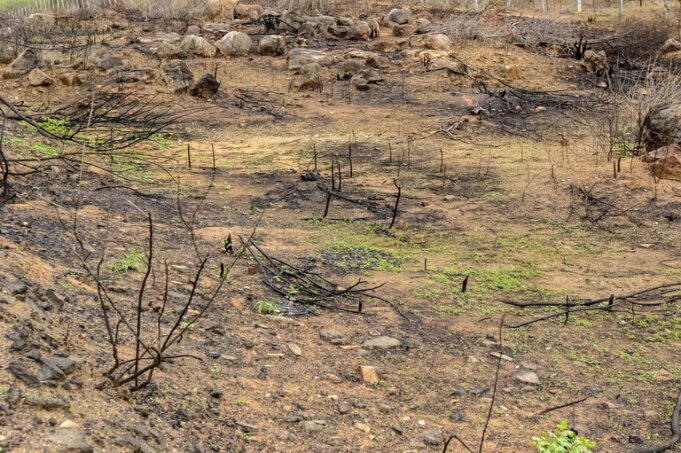 dac3e17d-343b-4983-ac06-a04bf9b57cb3