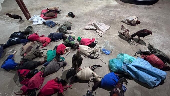 whatsapp-image-2025-06-22-at-21-54-27