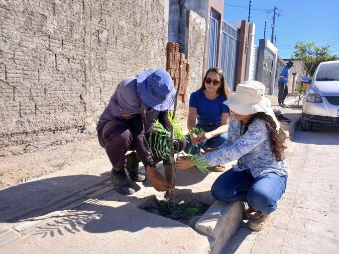 68790a8b4bf0c_SEMADS_1