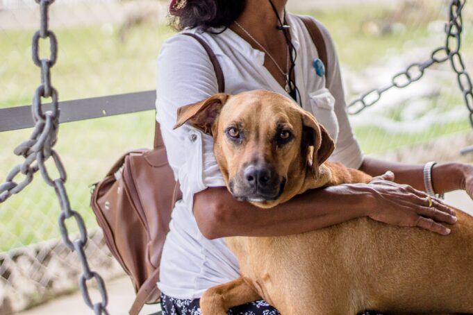 Female with her hands on a brown companion dog