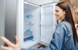 Geladeiras: tudo o que você precisa saber antes de comprar uma nova