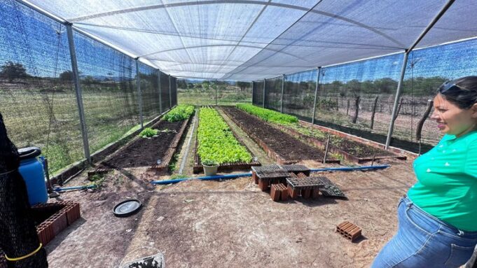 b8174b16-a655-467e-98a2-53c97ccce79d