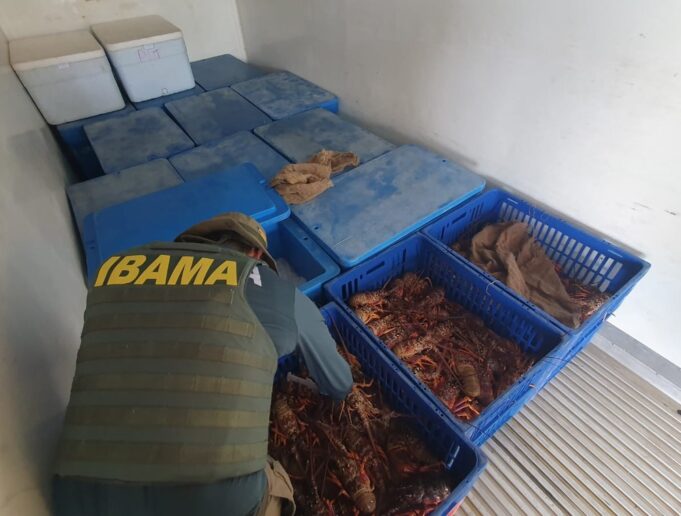 whatsapp-image-2025-08-22-at-16.55.27