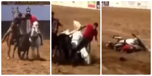 3352d74fd7317302aa6368cd