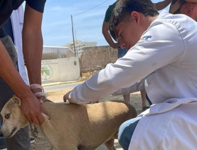 68d9f14e2281e_WhatsApp_Image_2025-09-28_at_23.34.53(8)