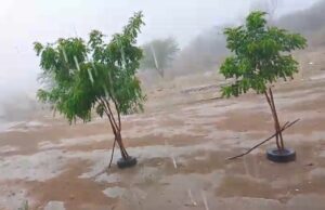 Volta a chover bem na região de Patos; veja os índices