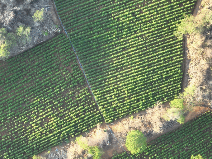 0a61398b-3177-4627-beca-e31b6345a1cd