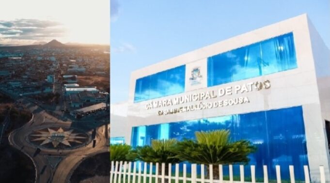 68fbe0de4fca6_patos_3