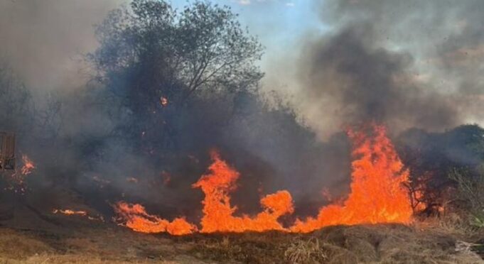 snapins-ai_3744229482098965905-e1760573498900-750x410