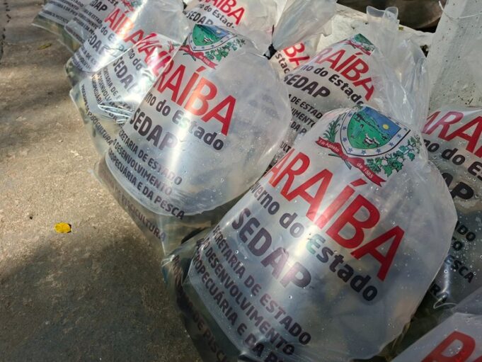 1cb91cf0-3286-48a5-bf70-272eb9f1642c