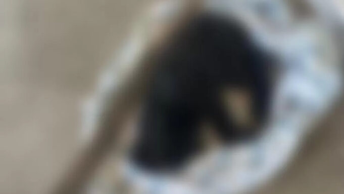 3e1e40c086bee457c53085171f469018