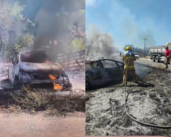 f7f290f17f1729841a97edba1cc40f58