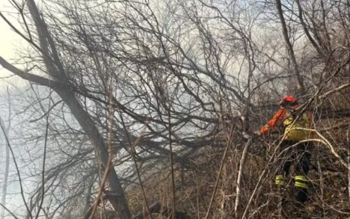 incendio-florestal-800x500