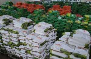 Governo da Paraíba distribui 520 toneladas de sementes com agricultores de todo estado