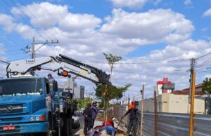 Prefeitura de Patos conclui plantio de 23 árvores no canteiro central da Rua Pedro Firmino