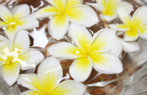O Monoï de Tahiti, um tesouro natural ao serviço da beleza e do bem-estar