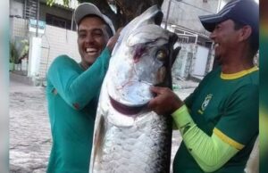 Homem pesca peixe de 2 metros de comprimento e 70 kg, em Bayeux: “Fiquei assustado”