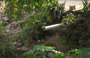 Após mortandade de peixes, estudo aponta degradação do Canal das Piabas e escoamento de poluição para o Açude Velho, em Campina Grande