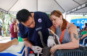 Fevereiro Roxo: Paraíba realiza primeiro Dia D de Cuidados para pets idosos