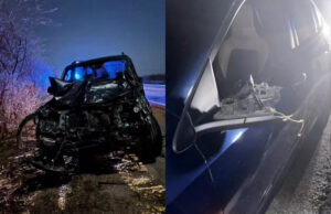 Animal solto na pista provoca acidente na BR-230, entre Patos e São Mamede