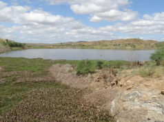 Paraíba tem nove açudes secos e quase 40 em situação crítica; veja onde