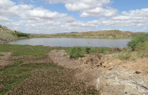 Paraíba tem nove açudes secos e quase 40 em situação crítica; veja onde