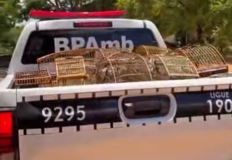 6bbd34724d0cbd3b0dd58643