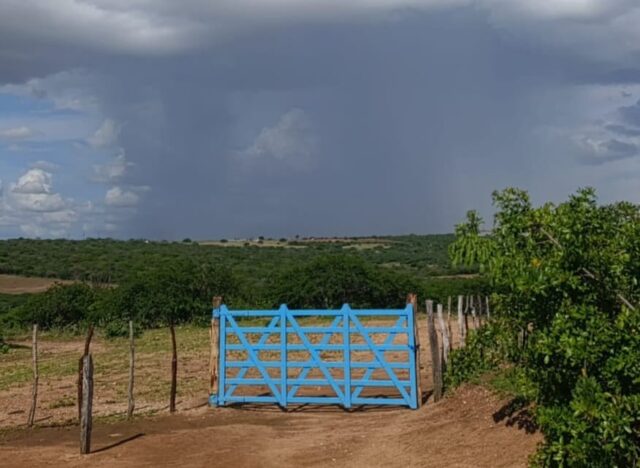 chuva