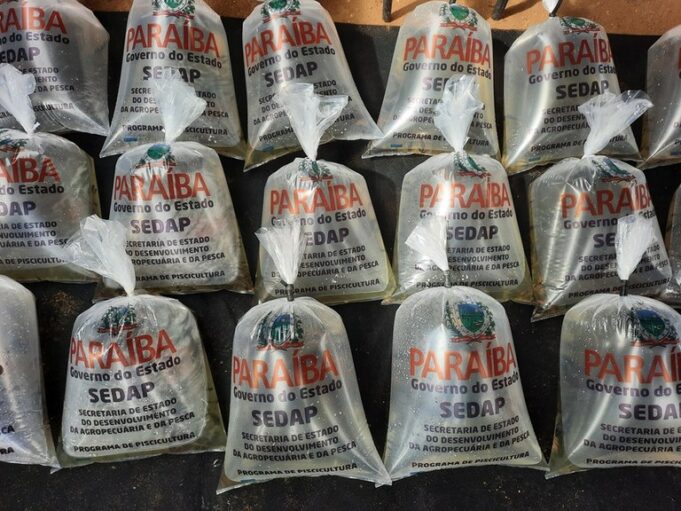 10e163b7-24e4-4b40-8501-8c6d97971167