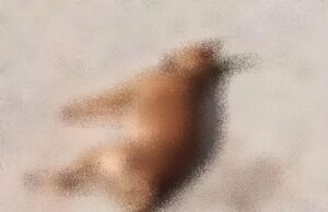 Mortes de cães voltam a ser registradas e mais uma vez levantam suspeita de envenenamento em Teixeira