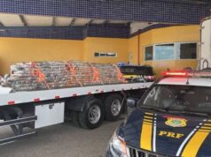 PRF apreende quase 2 toneladas de maconha em teto de caminhão frigorífico na Bahia; carga tinha como destino a Paraíba