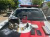 Polícia Militar apreende arma de fogo, droga e prende suspeito em Patos