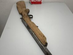 Polícia Militar prende homem por maus-tratos a animais e posse irregular de arma de fogo em Teixeira